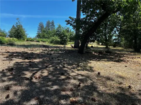 Residential Lot in Paradise, CA