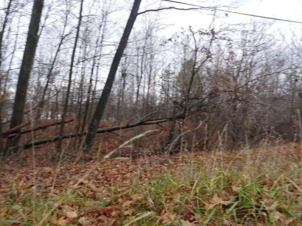 Picture 10