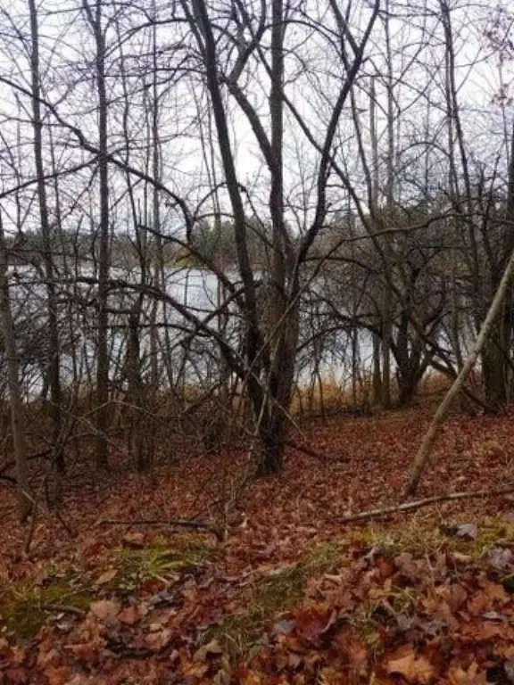 Picture 3