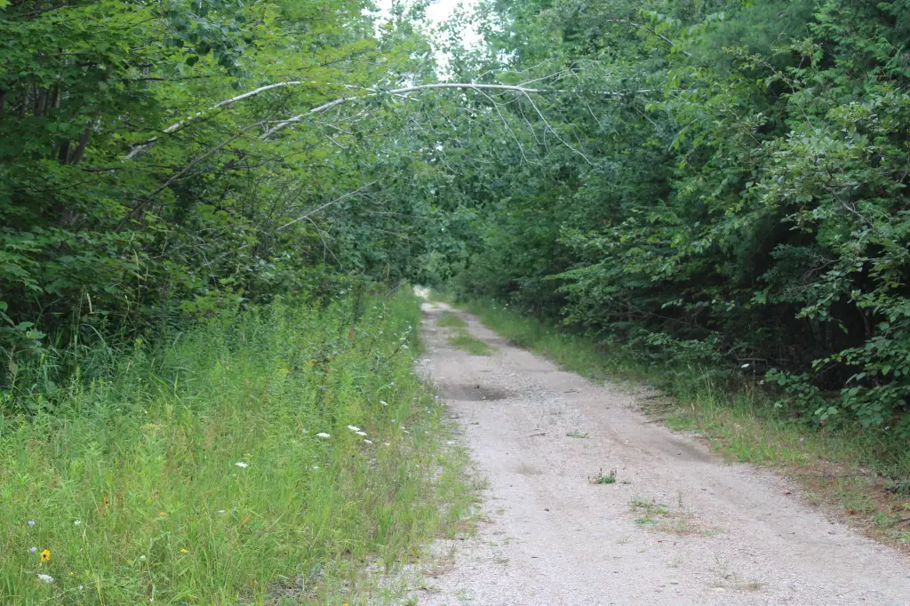 Picture 56