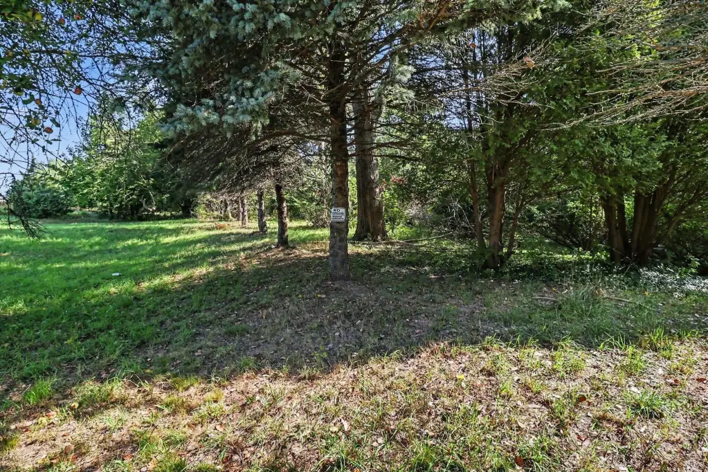 Picture 16