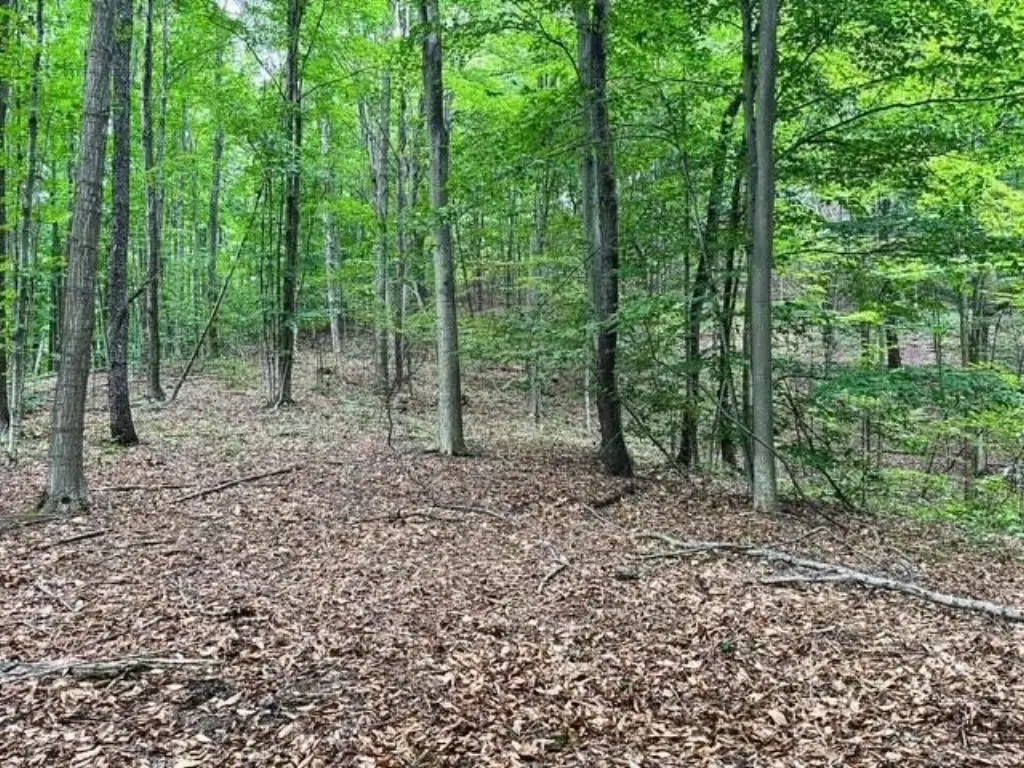 Picture 9
