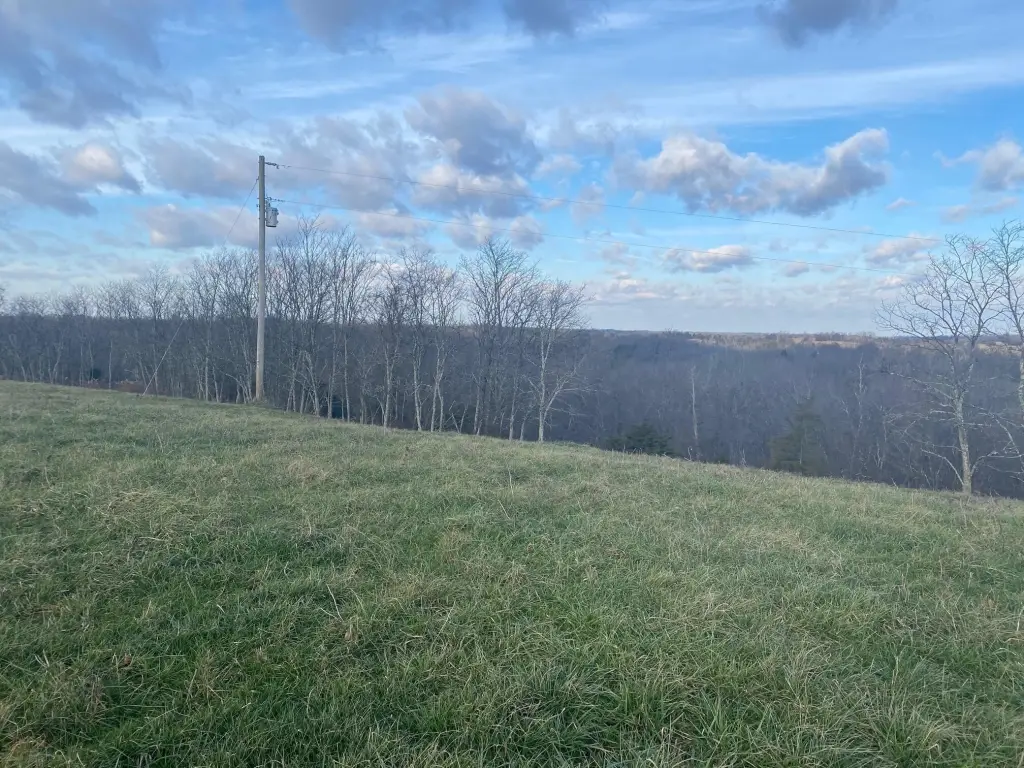 Picture 2