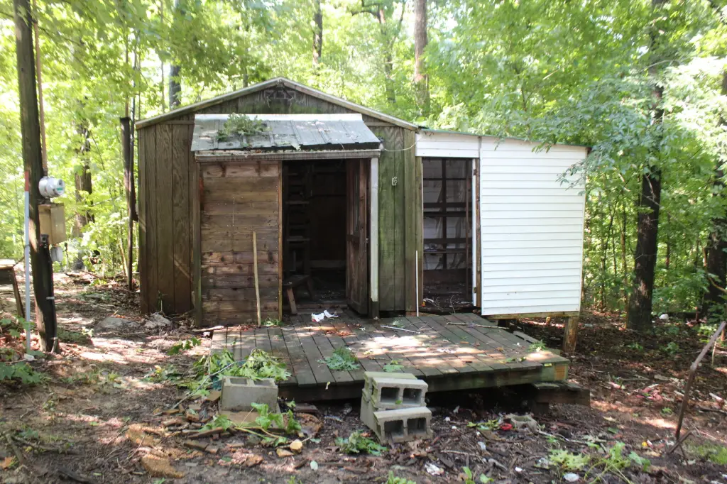 Picture 10