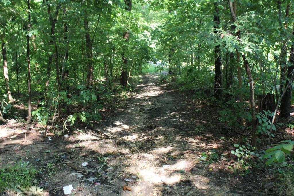 Picture 6