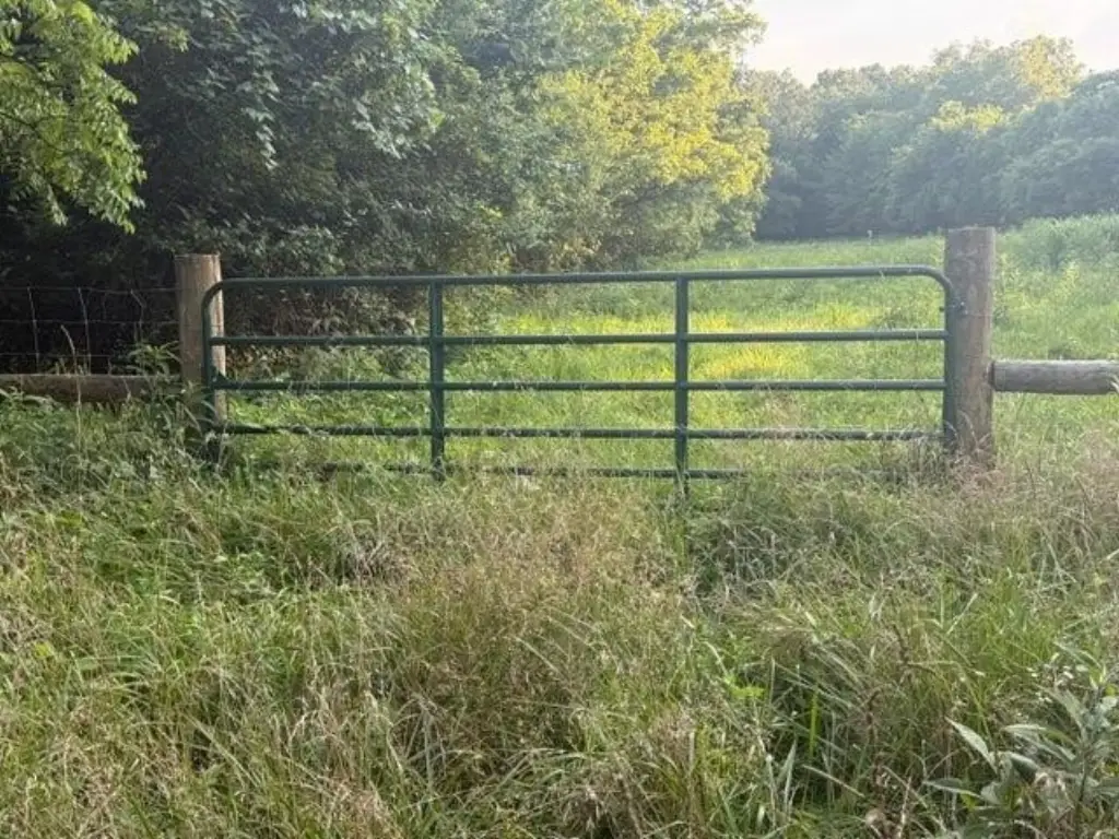 Picture 23