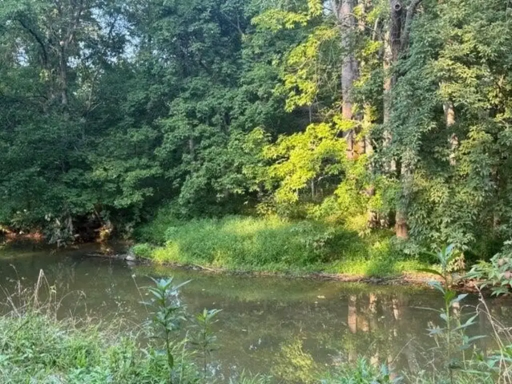 Picture 4