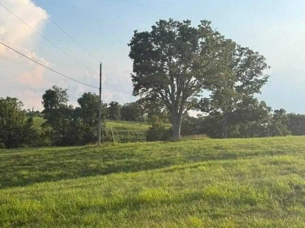 Picture 28