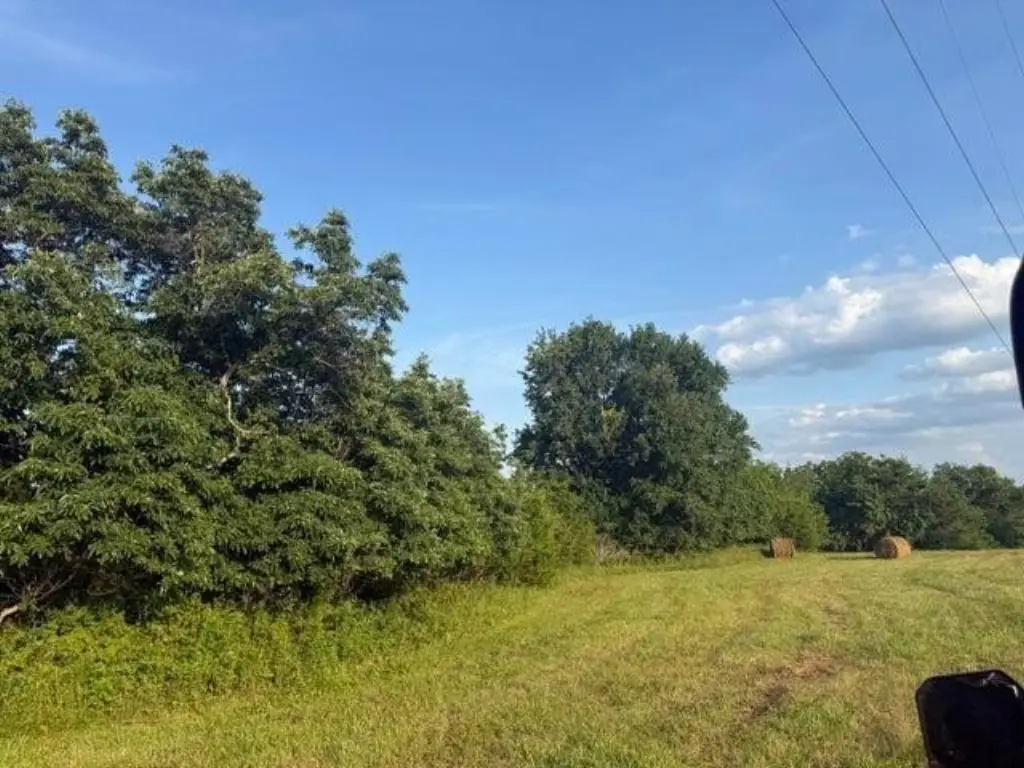 Picture 12