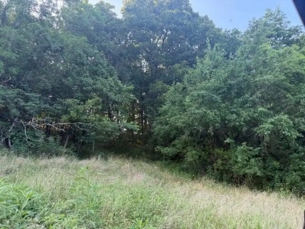 Picture 19