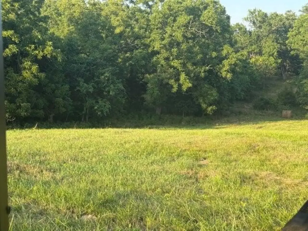 Picture 8
