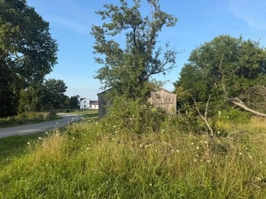 Picture 20