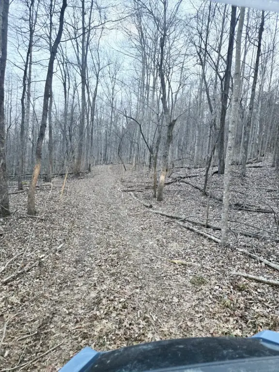Picture 5