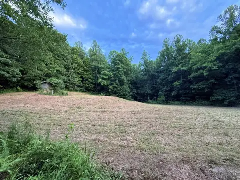 Cleared Timberland Acreage