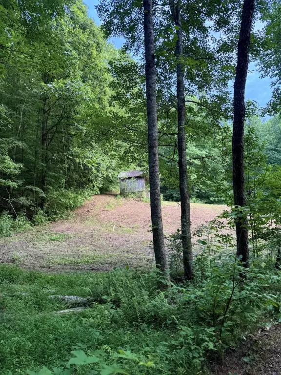 Picture 2