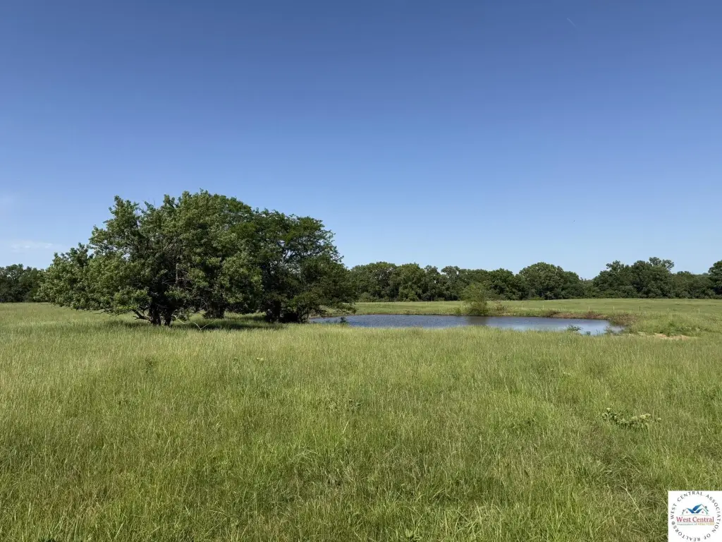 Picture 40