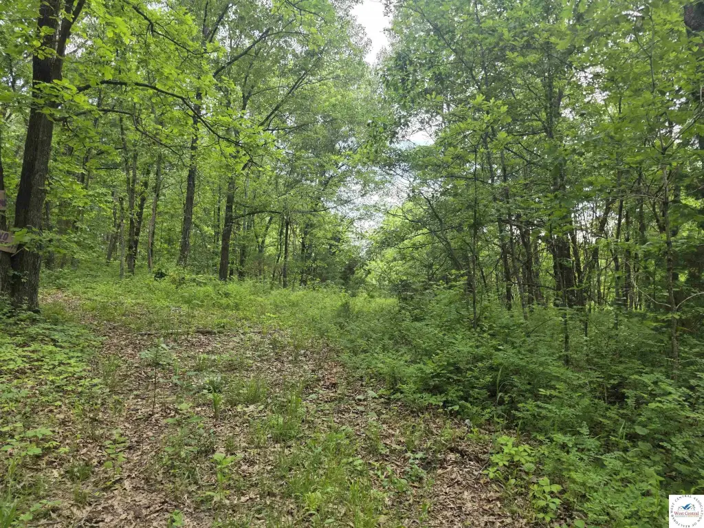 Picture 17