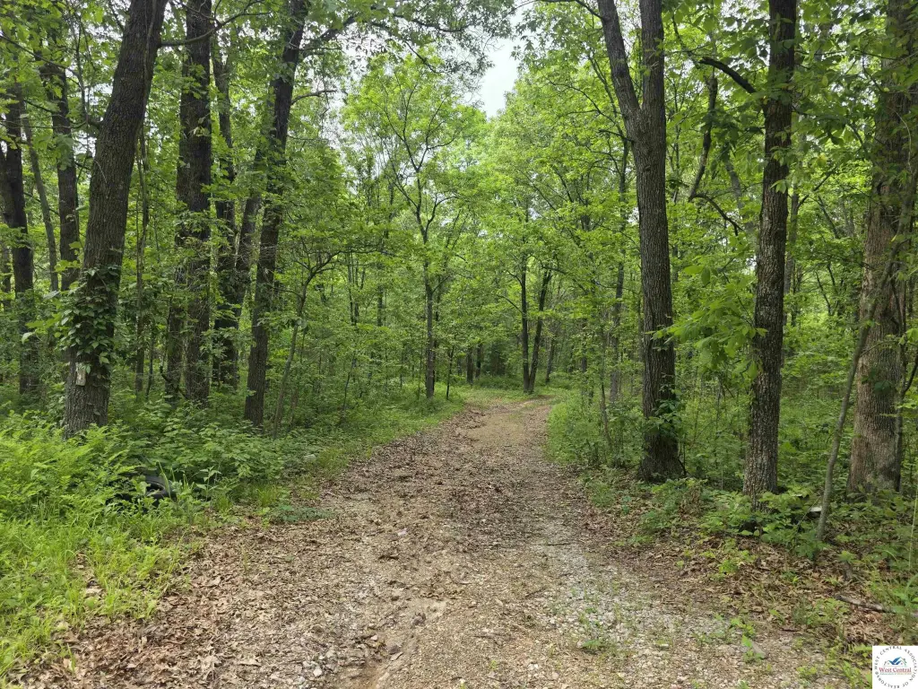 Picture 20