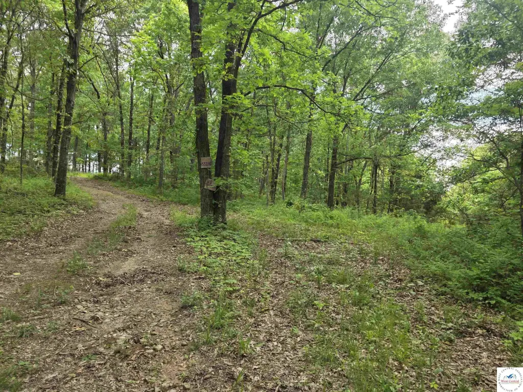 Picture 18
