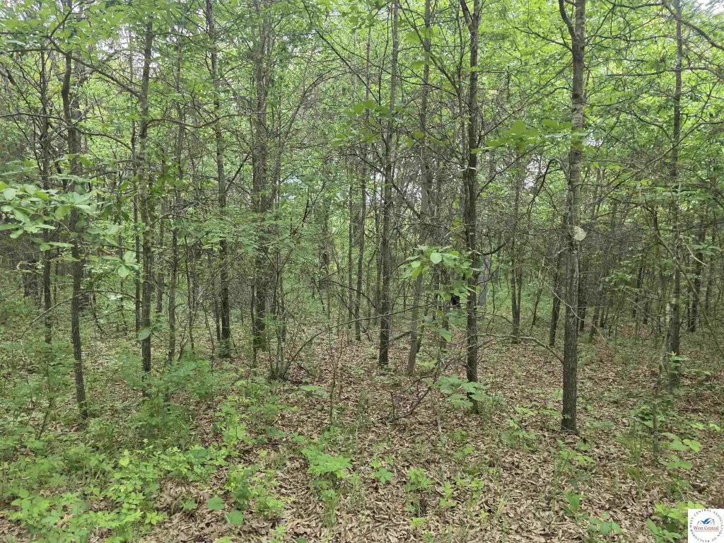Picture 15