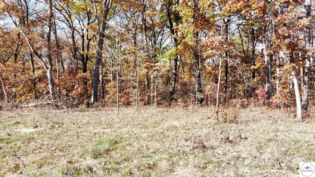 Picture 2
