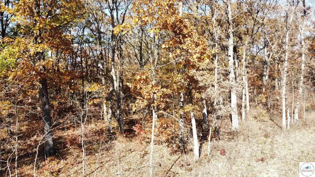 Picture 10