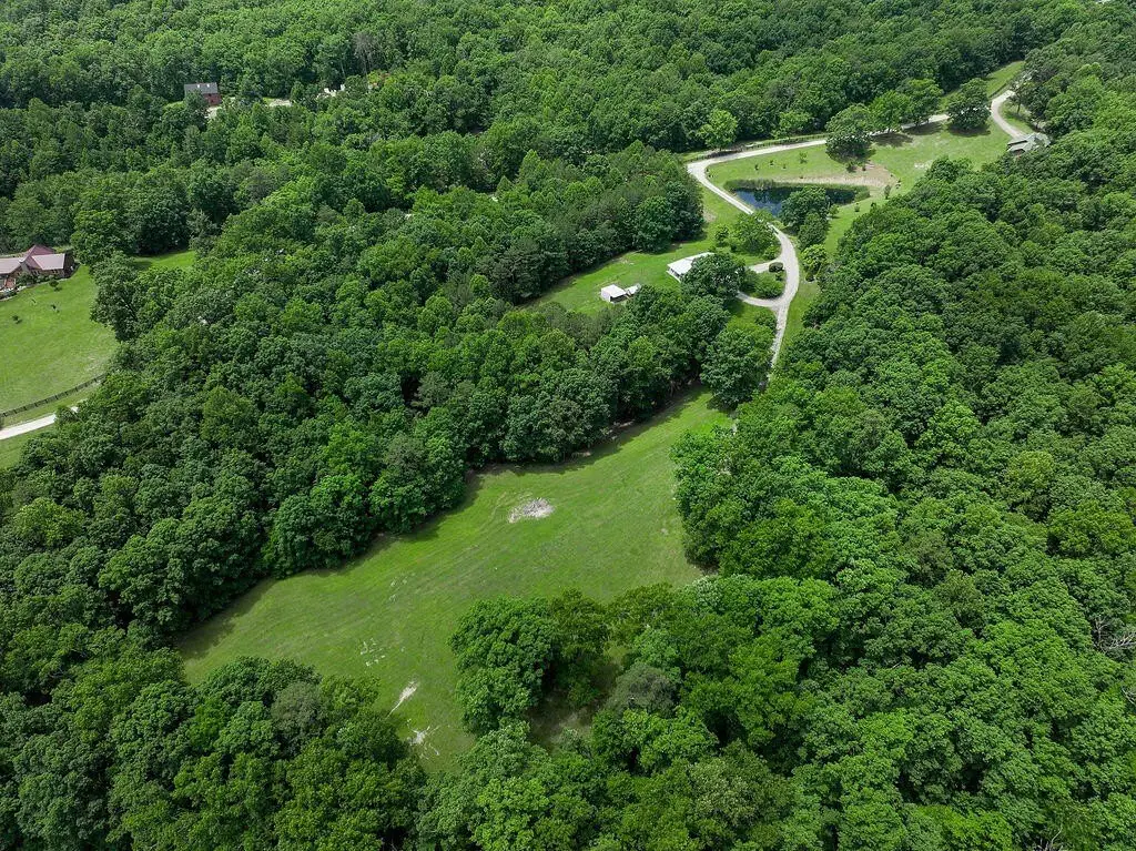 Picture 34