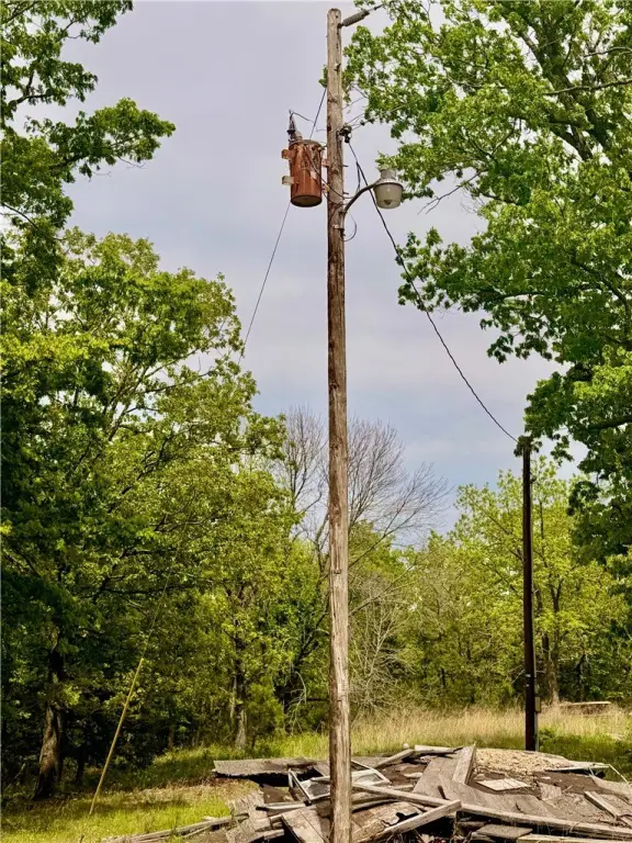Picture 6