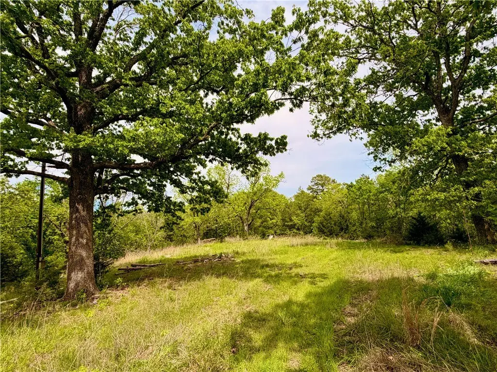 Picture 37