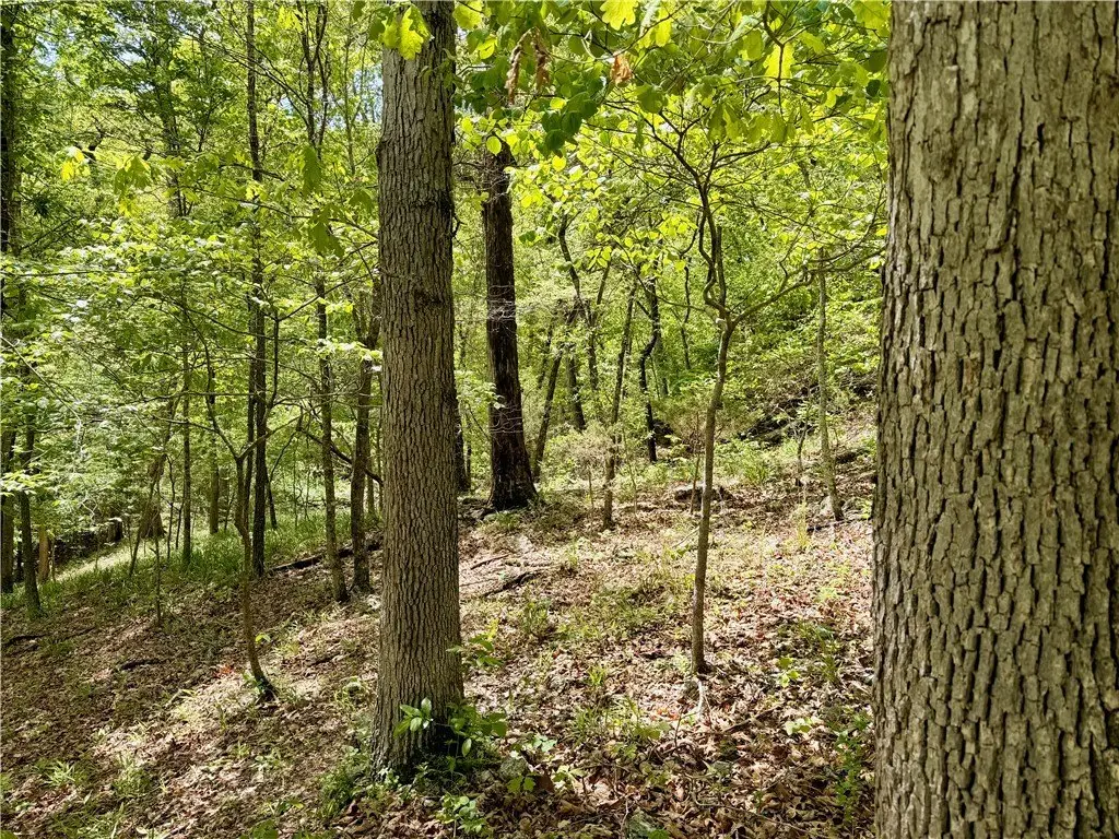 Picture 19