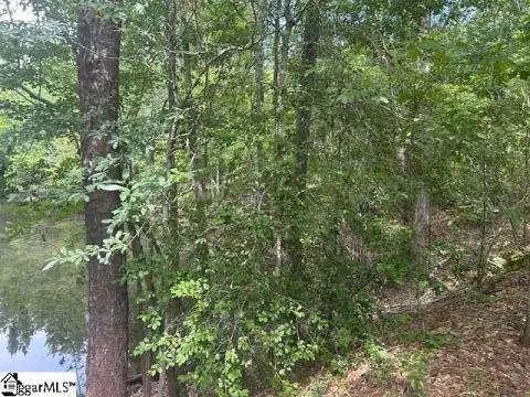 Lamar, SC Private Acreage