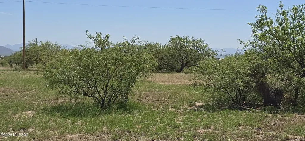 Picture 9