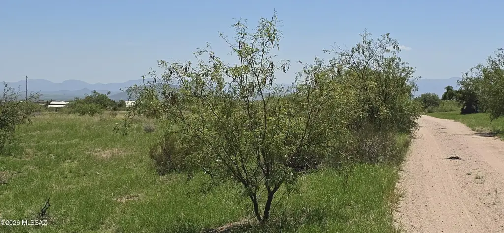 Picture 2