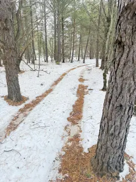 Residential Estate Land in Muskegon