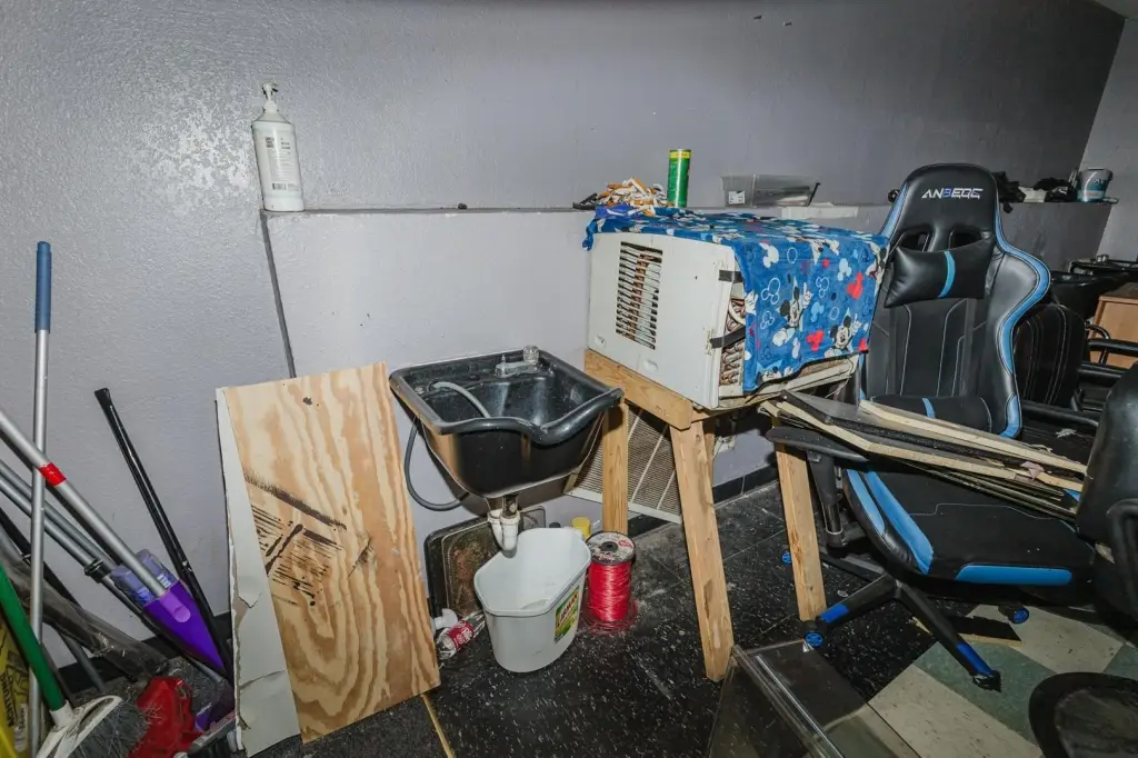Picture 36