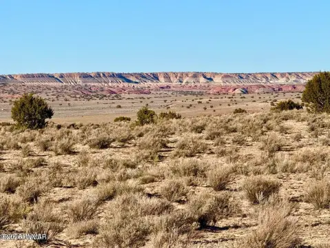 Land in Chambers, Arizona