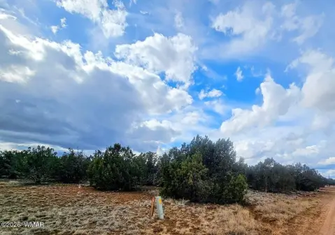 Land Near White Mountain Lakes