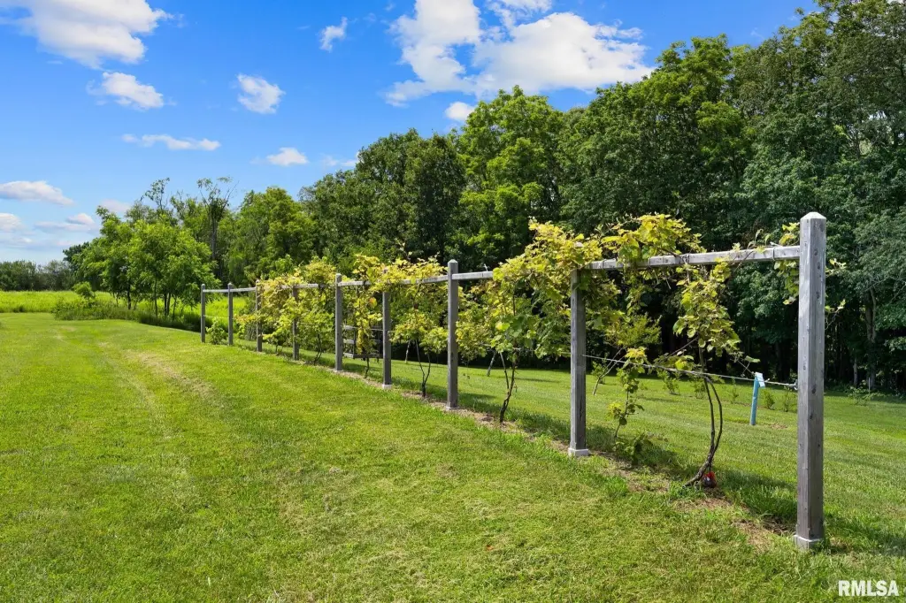 Picture 49