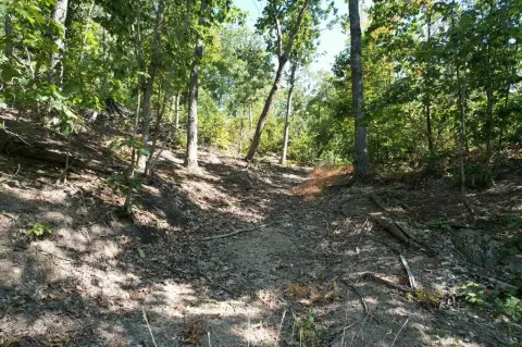 Secluded Land Ideal for Recreation