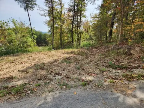 Wallingford, KY Land For Sale