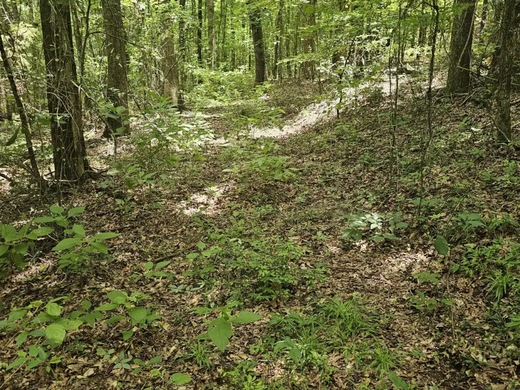 Picture 30