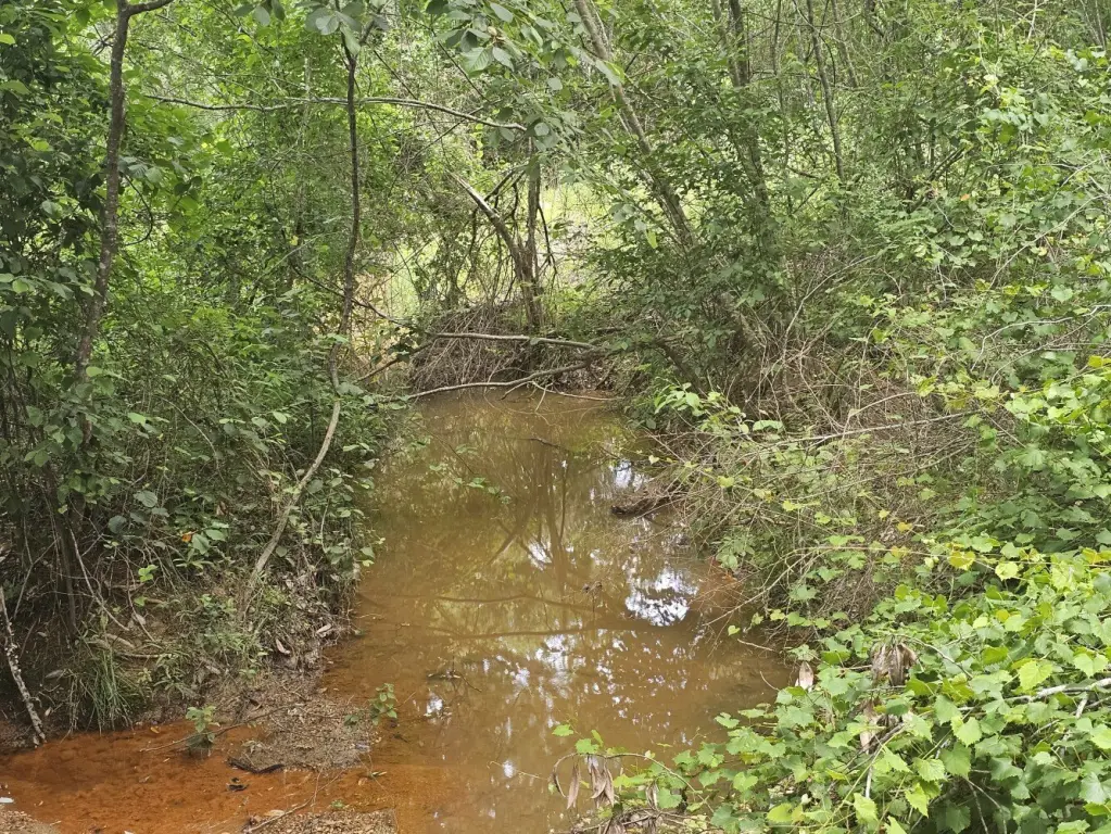 Picture 13
