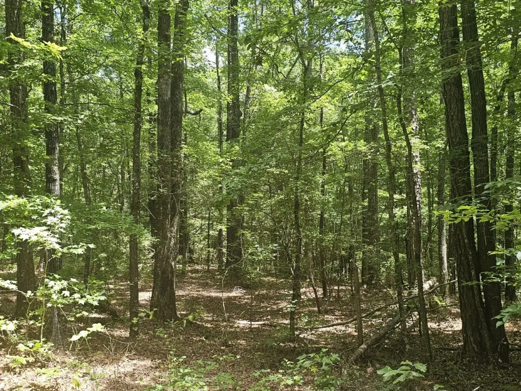Picture 24