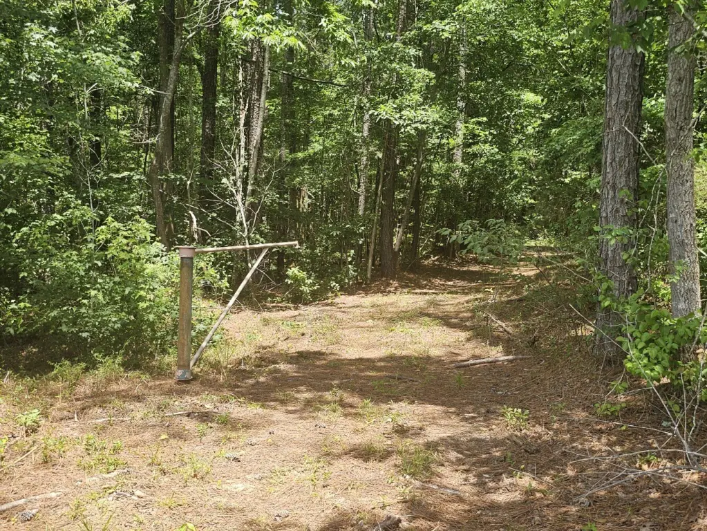 Picture 8