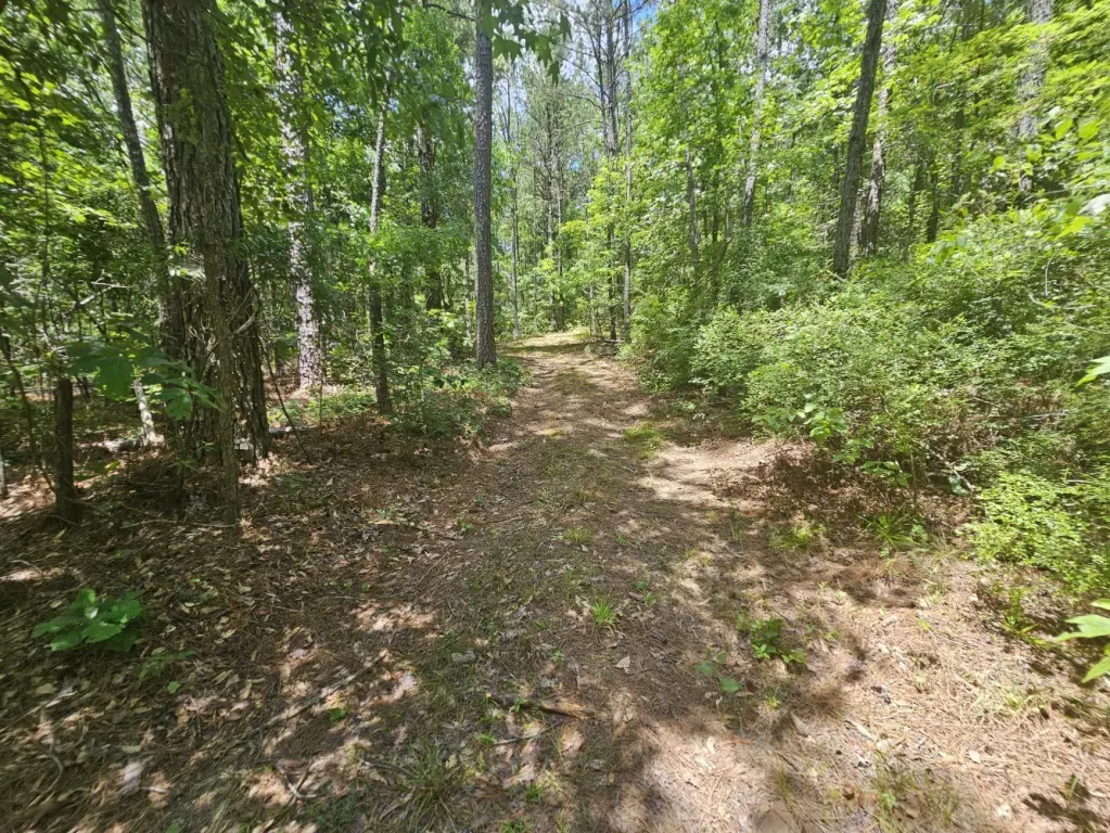 Picture 10