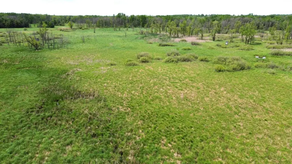 Picture 30