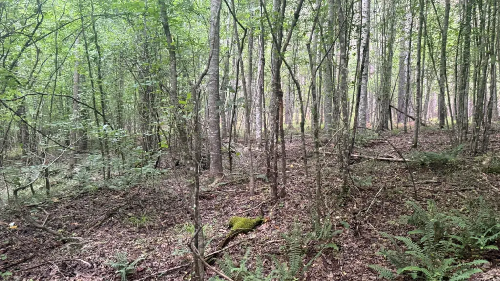 Picture 23