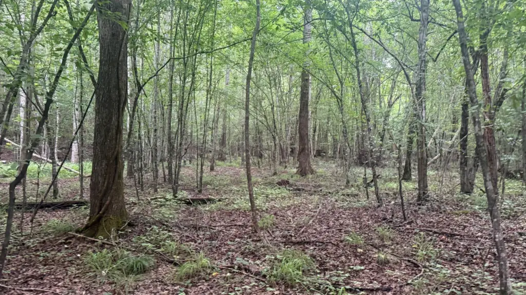 Picture 18