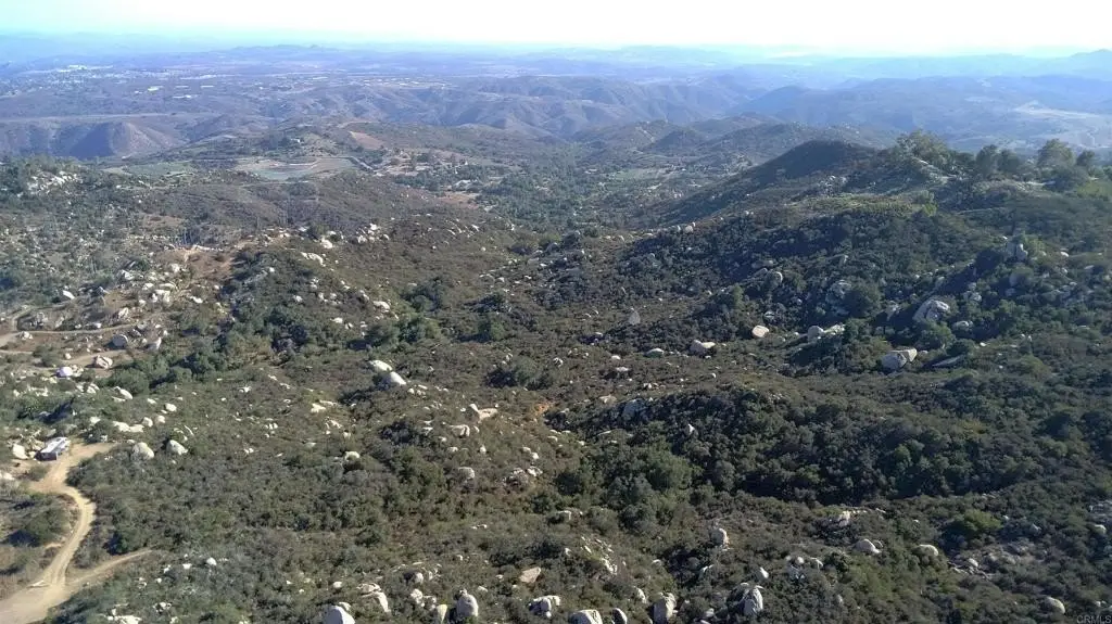 Picture 28