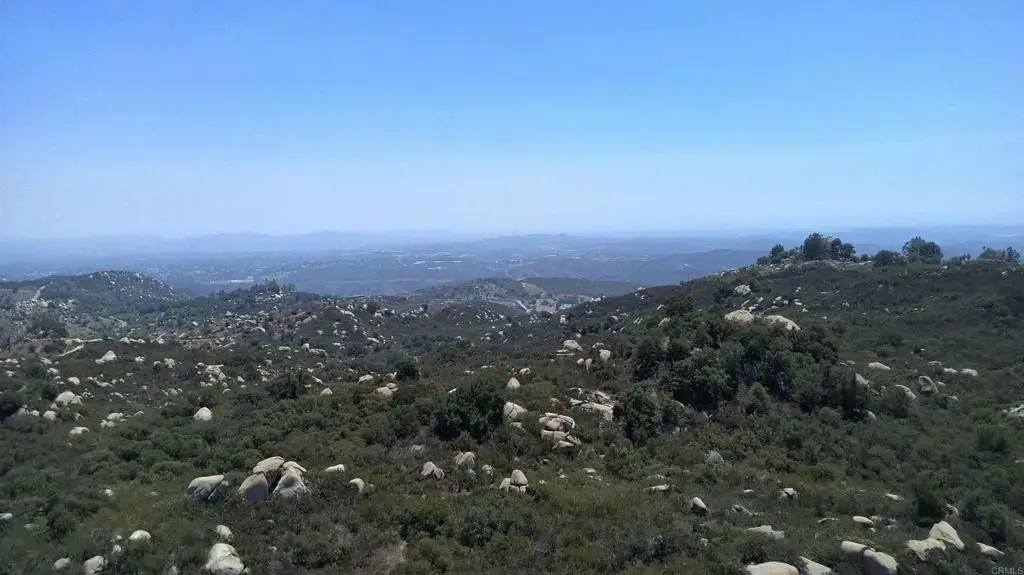 Picture 23
